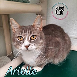 Photo of Arielle