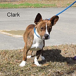 Thumbnail photo of Clark #3