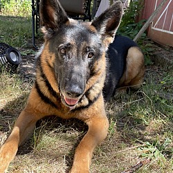 Photo of Clyde