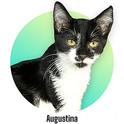 Photo of Augustina