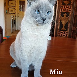 Thumbnail photo of Mia #3