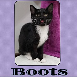 Photo of Boots
