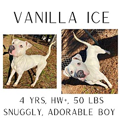 Photo of Vanilla Ice