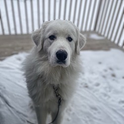 Photo of Oakley