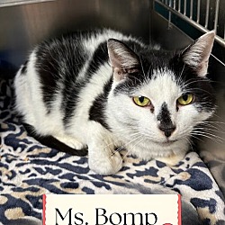 Thumbnail photo of Ms. Bomp #1