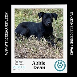 Thumbnail photo of Abbie Dean 081724 #3