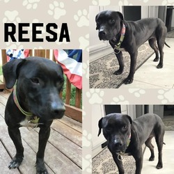 Thumbnail photo of Reesa #1