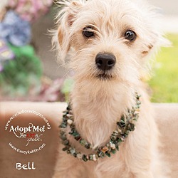 Thumbnail photo of BELL #1