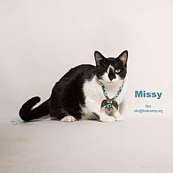 Thumbnail photo of Missy #4