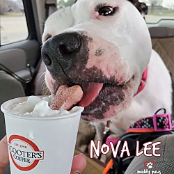 Thumbnail photo of Nova Lee #3