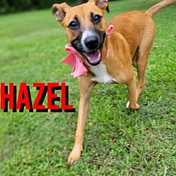 Thumbnail photo of Hazel Katia The Sweetest Soul #1