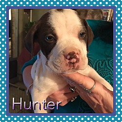 Thumbnail photo of Hunter #2