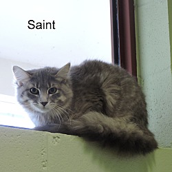 Thumbnail photo of Saint #4