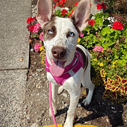 Photo of Kimber