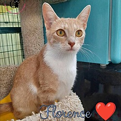 Photo of Florence AT Petsmart Newington