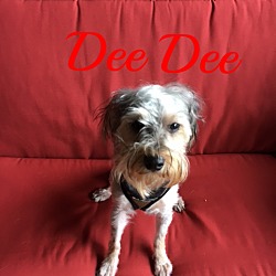 Thumbnail photo of Dee Dee #2