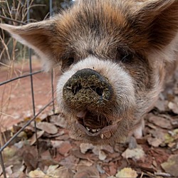 Thumbnail photo of Colin #3