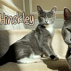 Photo of Hinckley
