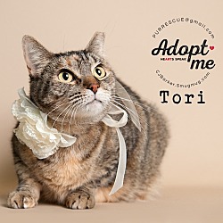 Thumbnail photo of Tori #1