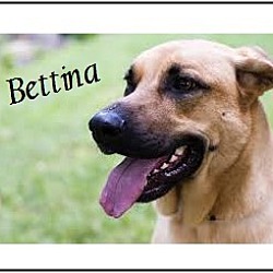 Thumbnail photo of Bettina #1