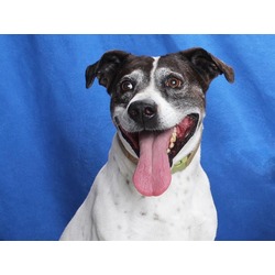 Photo of RACER