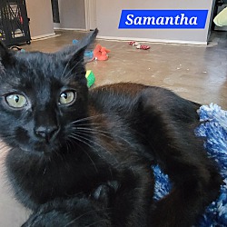 Thumbnail photo of Samantha #2