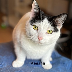 Thumbnail photo of Keesha #3