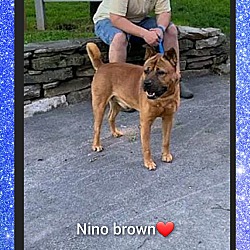 Thumbnail photo of Nino  Brown #2