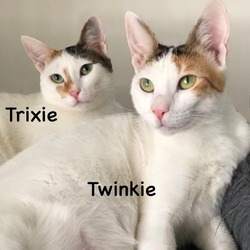 Photo of Twinkie Kuwait