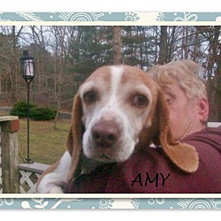 Thumbnail photo of AMY #1