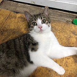 Photo of Moe