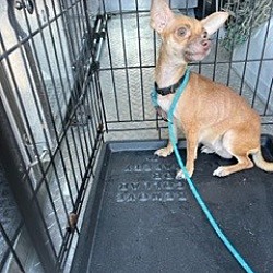 Photo of francie