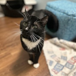 Photo of Big Smokey