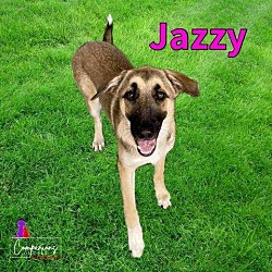 Thumbnail photo of Jazzy #2