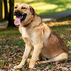 Photo of BEAR
