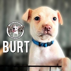 Thumbnail photo of Burt Grace #1