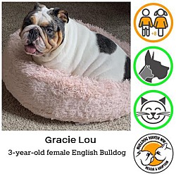 Thumbnail photo of Gracie Lou #1