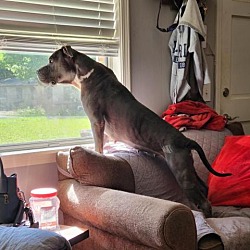 Photo of Roxy