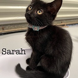 Thumbnail photo of Sarah #1