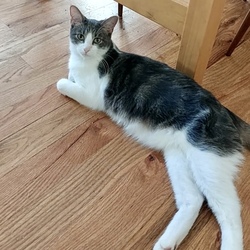 Thumbnail photo of Woody #1