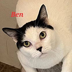 Photo of Ben