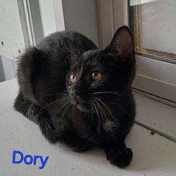 Thumbnail photo of Dory #2