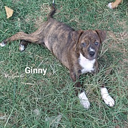 Thumbnail photo of Ginny #1