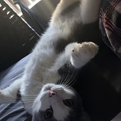 Photo of Jinx