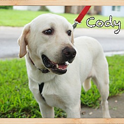 Thumbnail photo of Cody #3