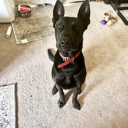 Photo of Jayce