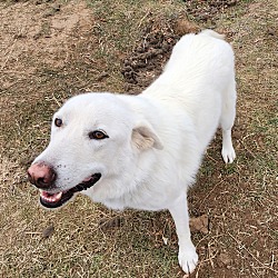 Photo of Perla