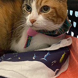 Photo of Abby