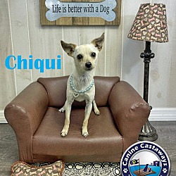 Thumbnail photo of Chiqui #2