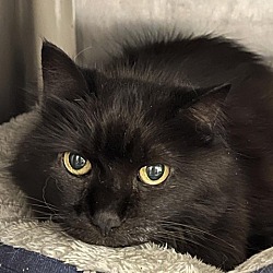 Photo of Sugar